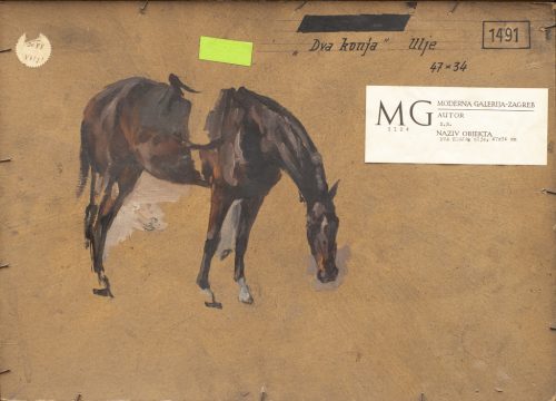 MG-3124-Poledina